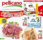 Pellicano Ricorrenzw Natalizie - al 10.12.2025