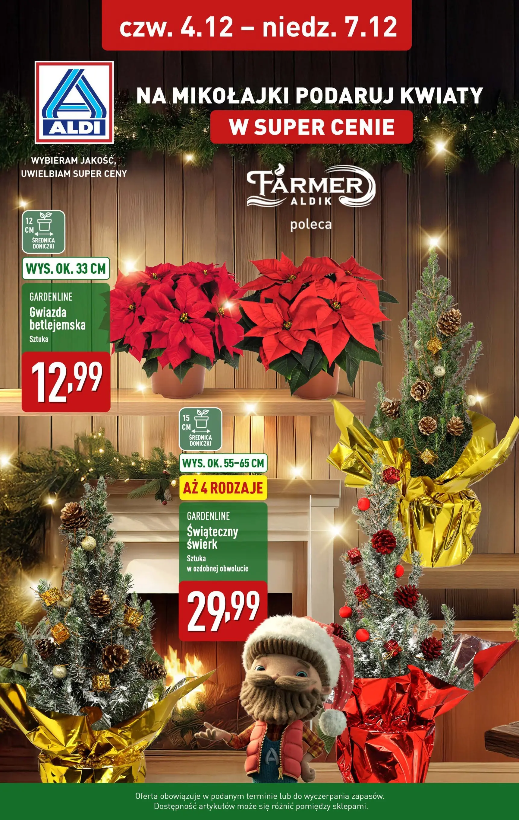 Aldi - Na Mikołajki podaruj kwiaty z ALDI od 03.12.2025 - Ulotka PDF, promocje | Strona: 1