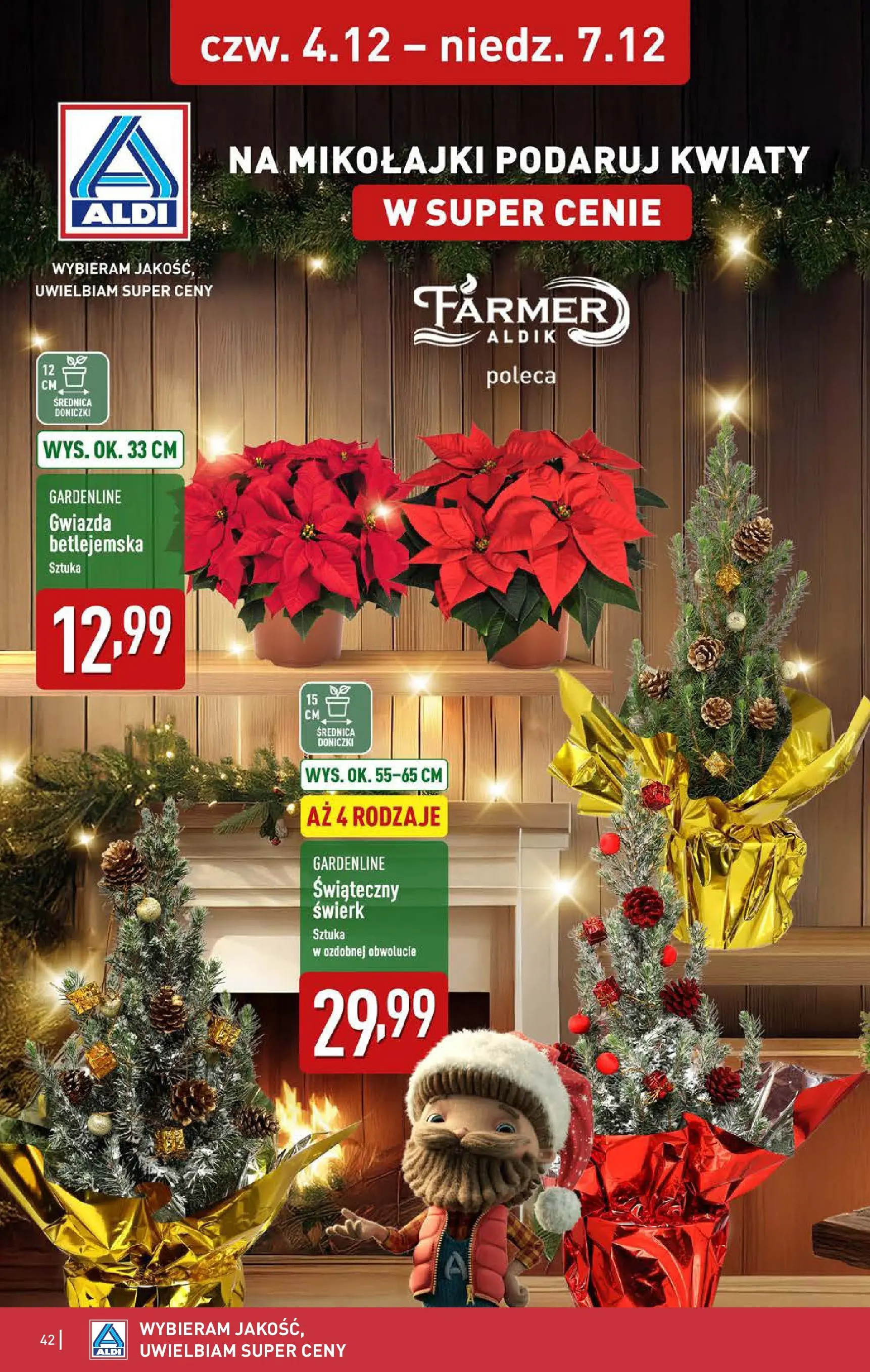 Aldi - Święta w super cenach w ALDI od 30.11.2025 - Ulotka PDF, promocje | Strona: 42 | Produkty: Doniczki, Kwiaty