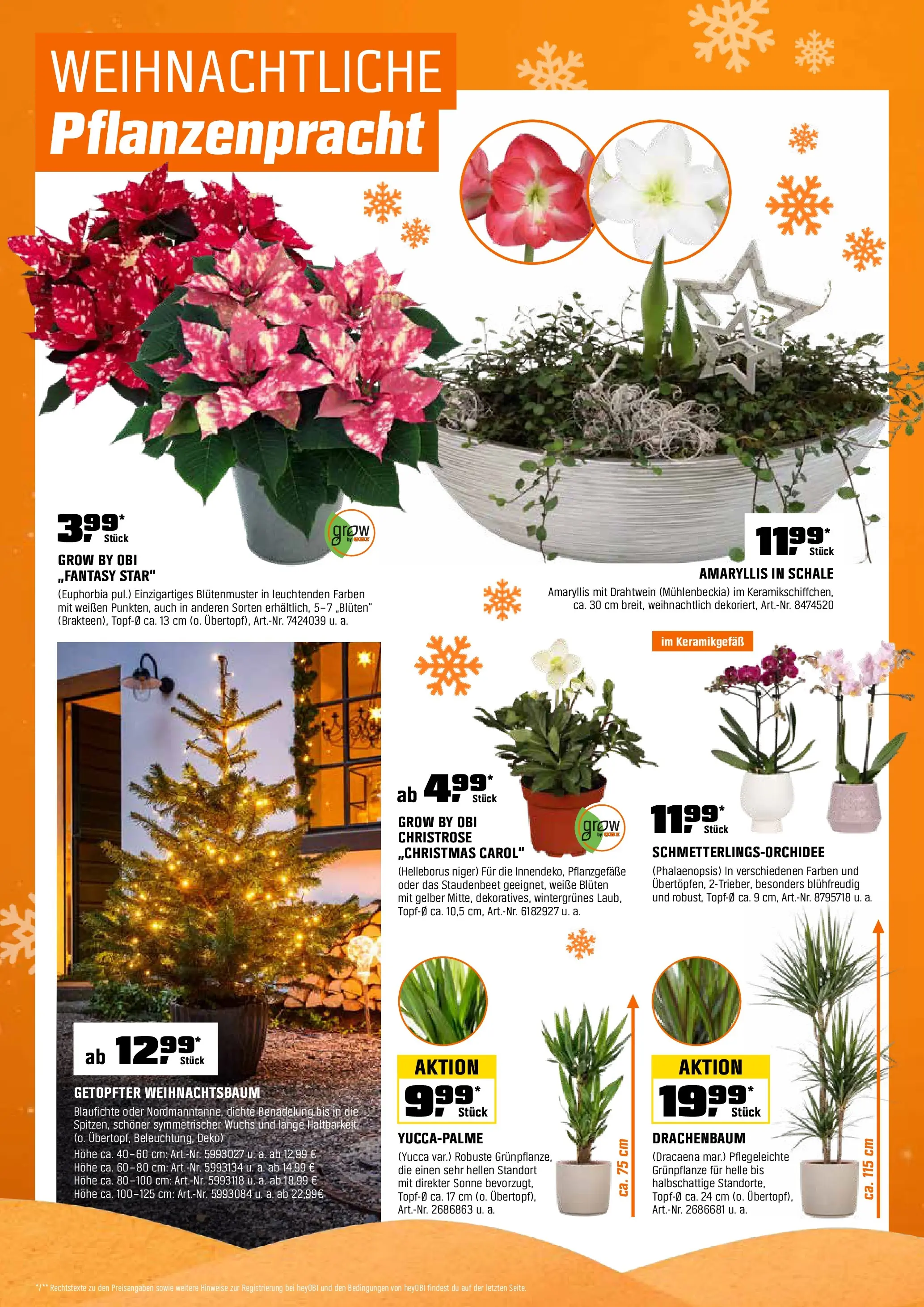 Obi Prospekt 	 (ab 15.12.2025) zum Blättern | Seite: 10