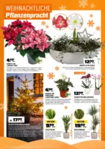 OBI OBI: Biberstarke Angebote - bis 14.12.2025