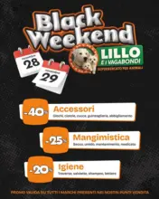 Offerte Lillo e i vagabondi