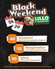 Offerte Lillo e i vagabondi