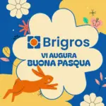 Brigros Offerte Brigros - al 14.12.2025