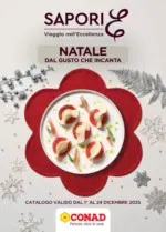 Conad City Natale dal gusto che incanta - al 24.12.2025