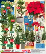 BAUHAUS Bregenz BAUHAUS: Flugblatt - bis 31.12.2025