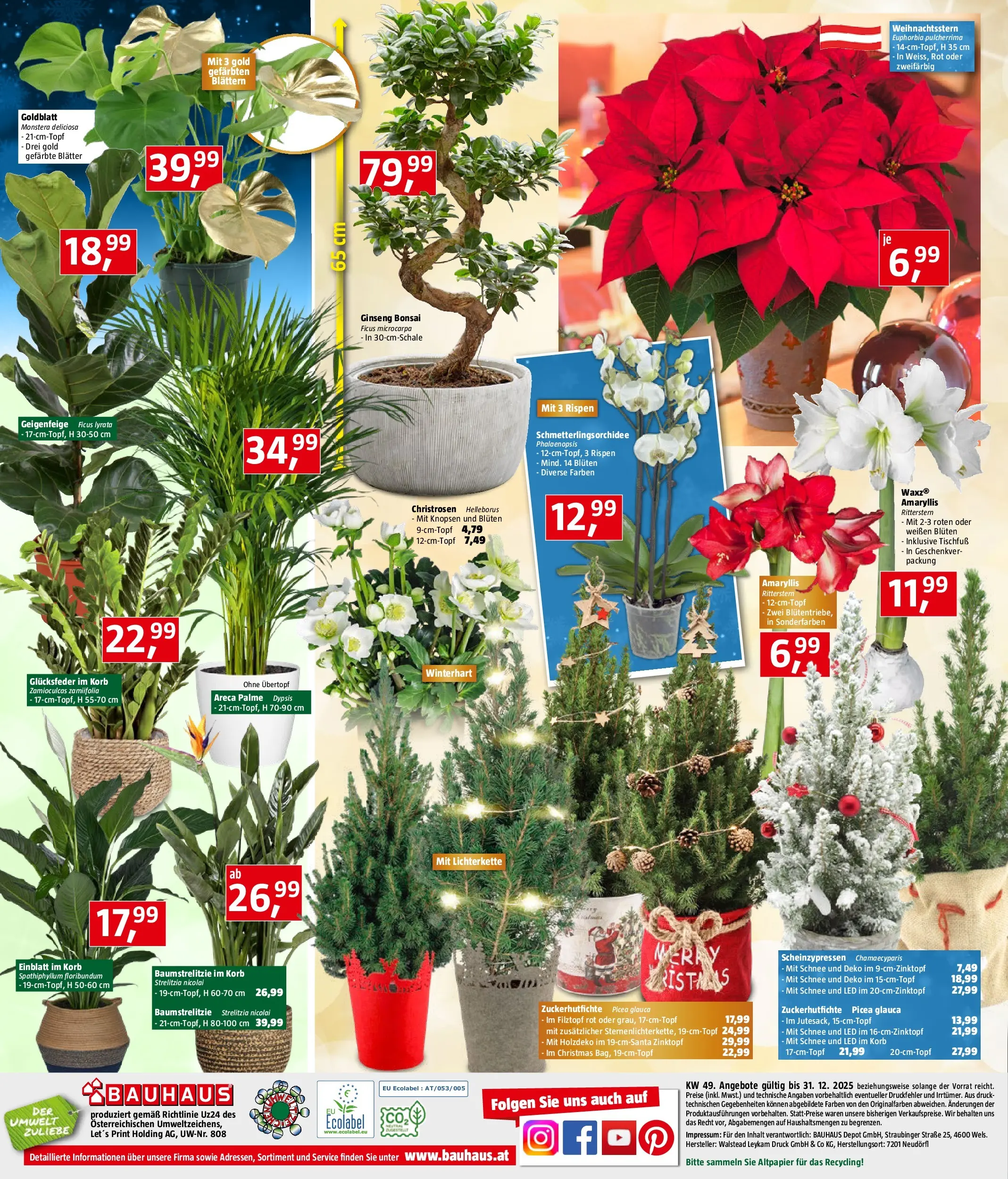 Bauhaus - BAUHAUS: Flugblatt von 02.12.2025 - Aktuelle Angebote | Seite: 24