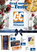 C+C professional - al 31.12.2025