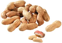 Фъстъци с черупка печени