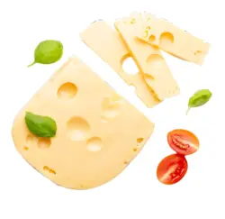 ZOTT Ементал Германия