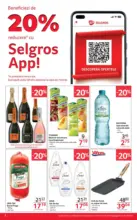 Catalog Selgros până în data de 11.12.2025
