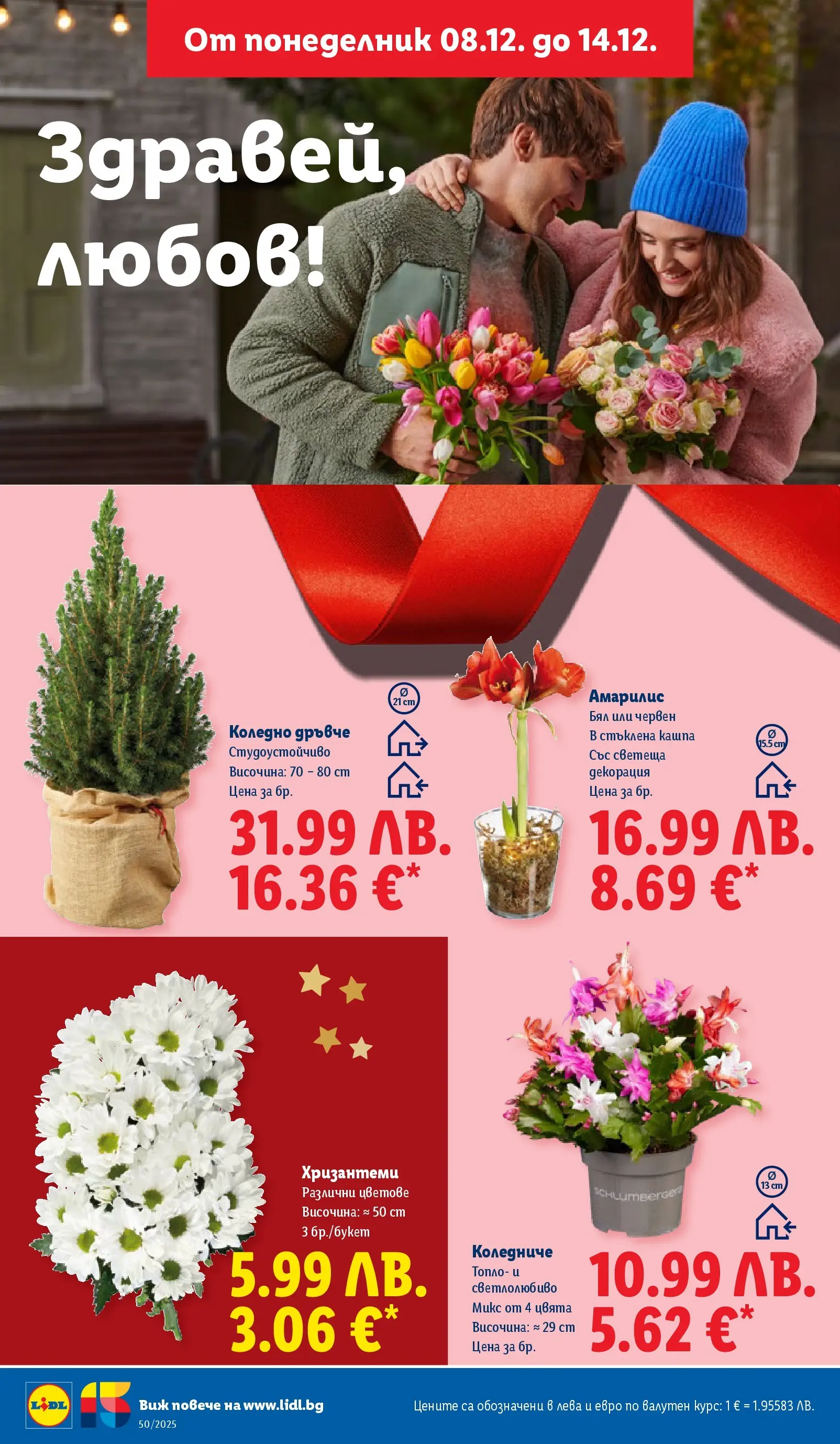 Лидл - Повече от любимото. Заслужава си в ЛИДЛ с предложения до 14.12.2025 от 07.12.2025 | Страница: 54 | Продукти: Кашпа, Декорация Лидл - Повече от любимото. Заслужава си в ЛИДЛ с предложения до 14.12.2025 от 07.12.2025 | Страница: 54 | Продукти: Кашпа, Декорация