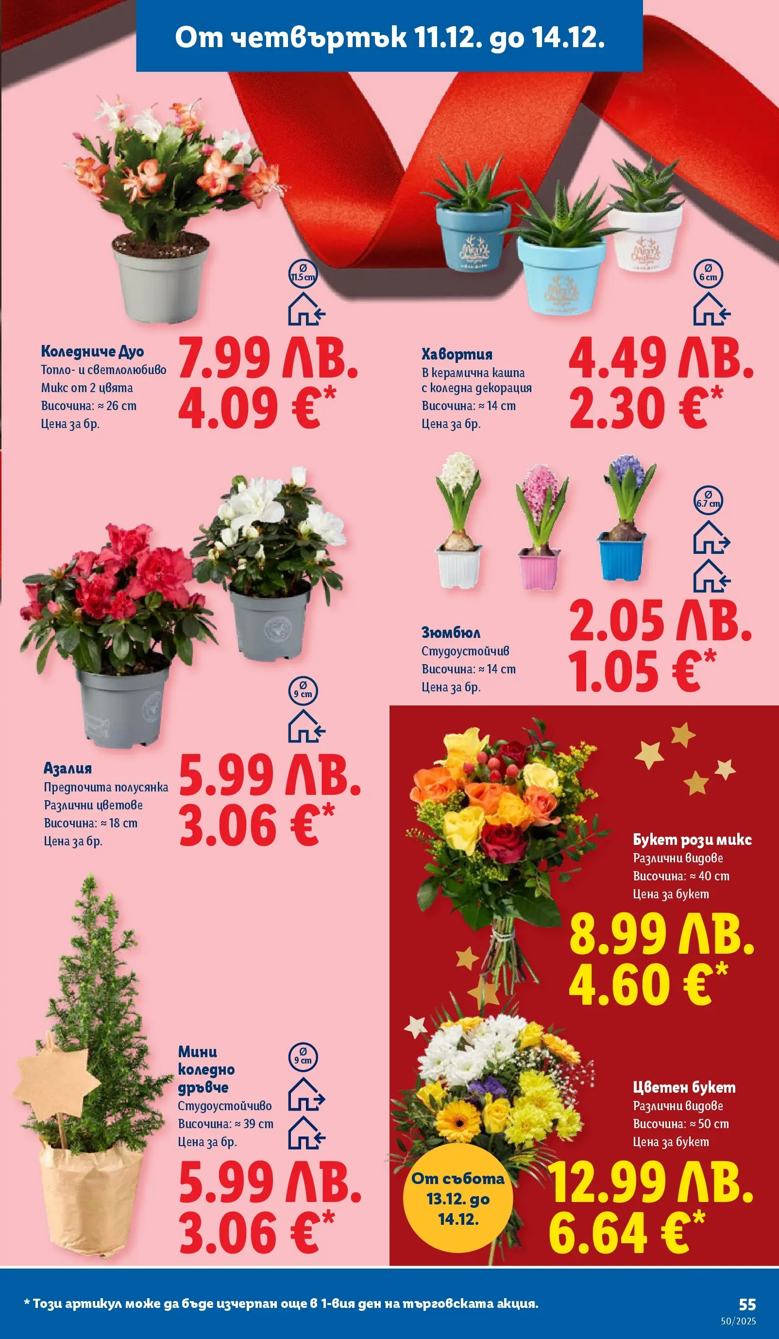 Лидл - Повече от любимото. Заслужава си в ЛИДЛ с предложения до 14.12.2025 от 07.12.2025 | Страница: 55 | Продукти: Кашпа, Декорация Лидл - Повече от любимото. Заслужава си в ЛИДЛ с предложения до 14.12.2025 от 07.12.2025 | Страница: 55 | Продукти: Кашпа, Декорация