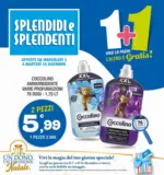 Splendidi e Splendenti 1+1 - al 16.12.2025