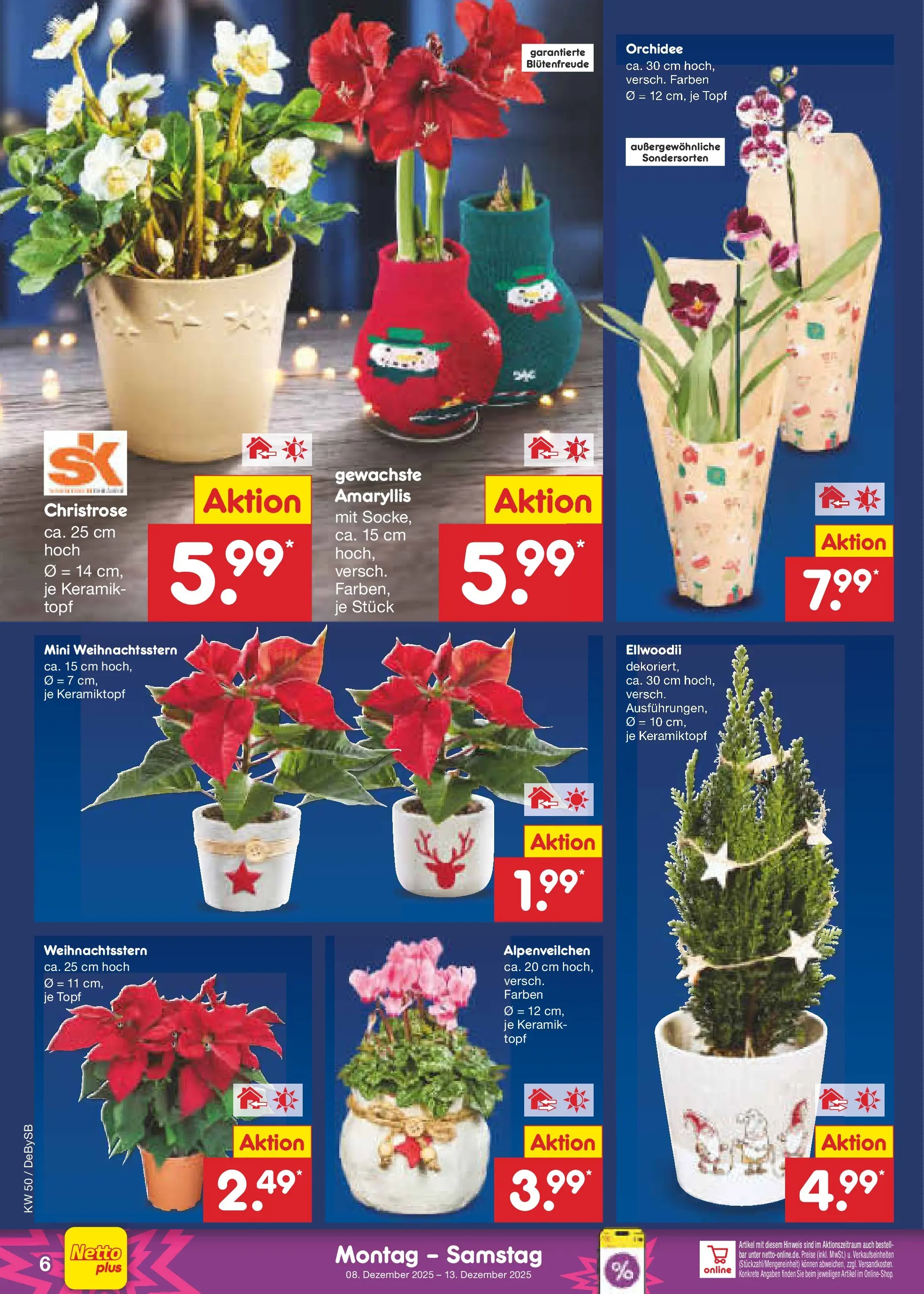 Netto Marken-Discount prospekt Thierhaupten	 (ab 08.12.2025) » Angebote | Seite: 6 | Produkte: Orchidee