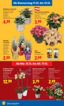 Lidl Lidl: Flugblatt in deiner Nähe - ab 11.12.2025