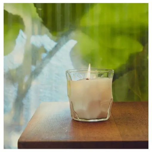 BASTUA Ароматизирана свещ в стъклена чашка, ревен и бъз