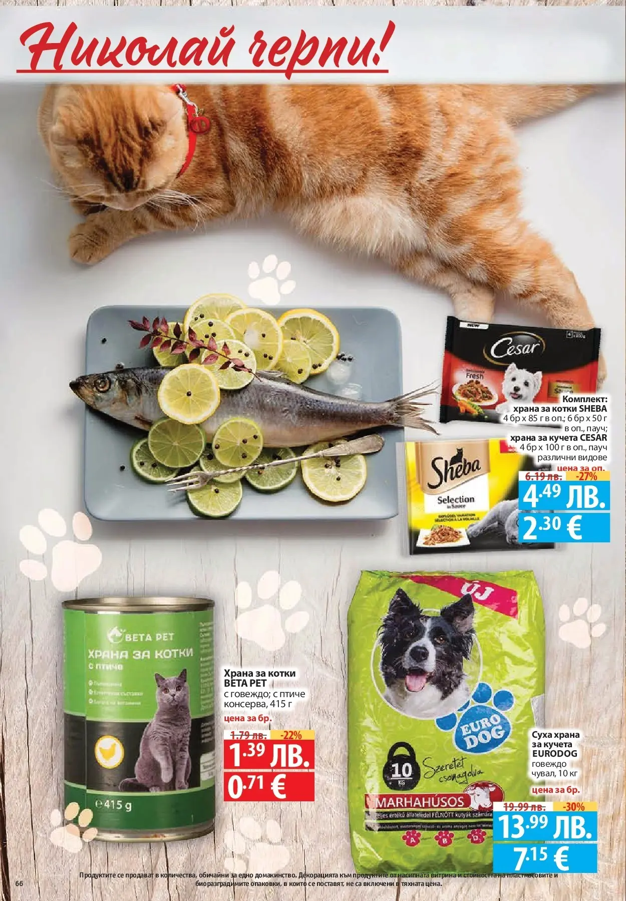 Нова Фантастико - Улов за Никулден с Фантастико предложения с валидност до 10.12.2025 от 03.12.2025 | Страница: 66 | Продукти: Говеждо, Храна за котки, Храна за кучета