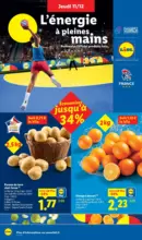 Découvrez le catalogue Lidl de la semaine avec plein de bons plans