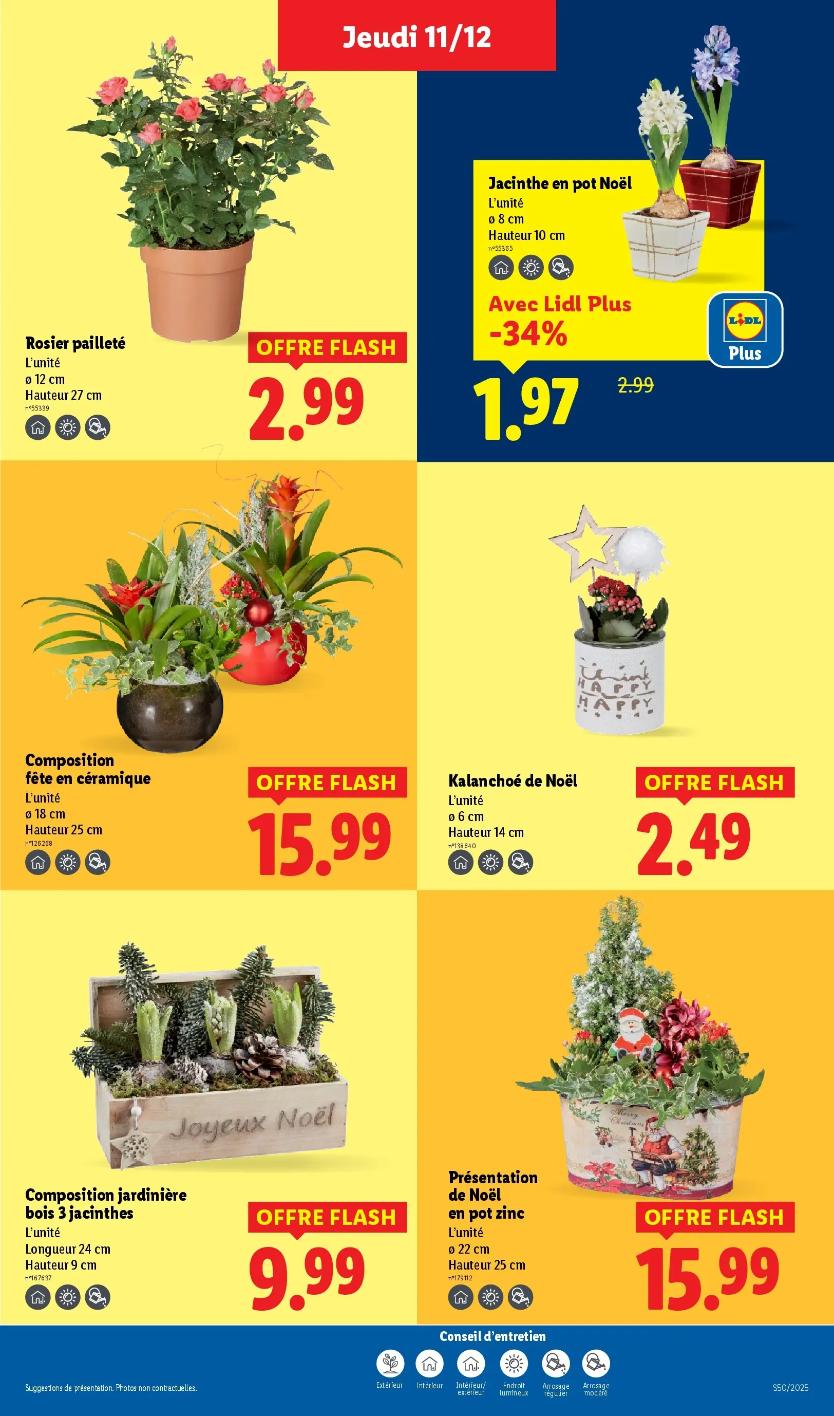 Catalogue LIDL du 10/12/2025 | Promo prospectus en ligne | Page: 41 Catalogue LIDL du 10/12/2025 | Promo prospectus en ligne | Page: 41