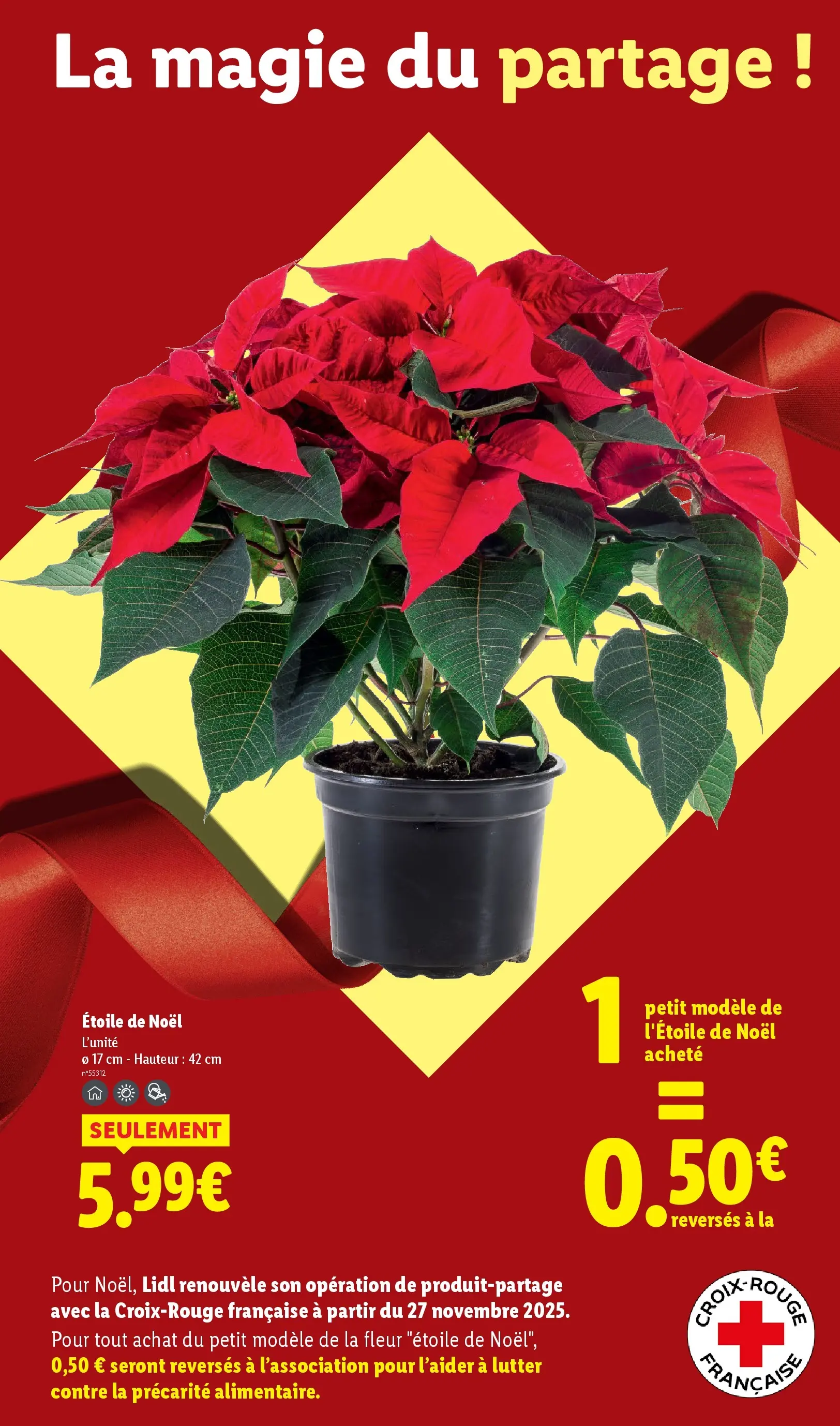 Catalogue LIDL du 10/12/2025 | Promo prospectus en ligne | Page: 43 Catalogue LIDL du 10/12/2025 | Promo prospectus en ligne | Page: 43