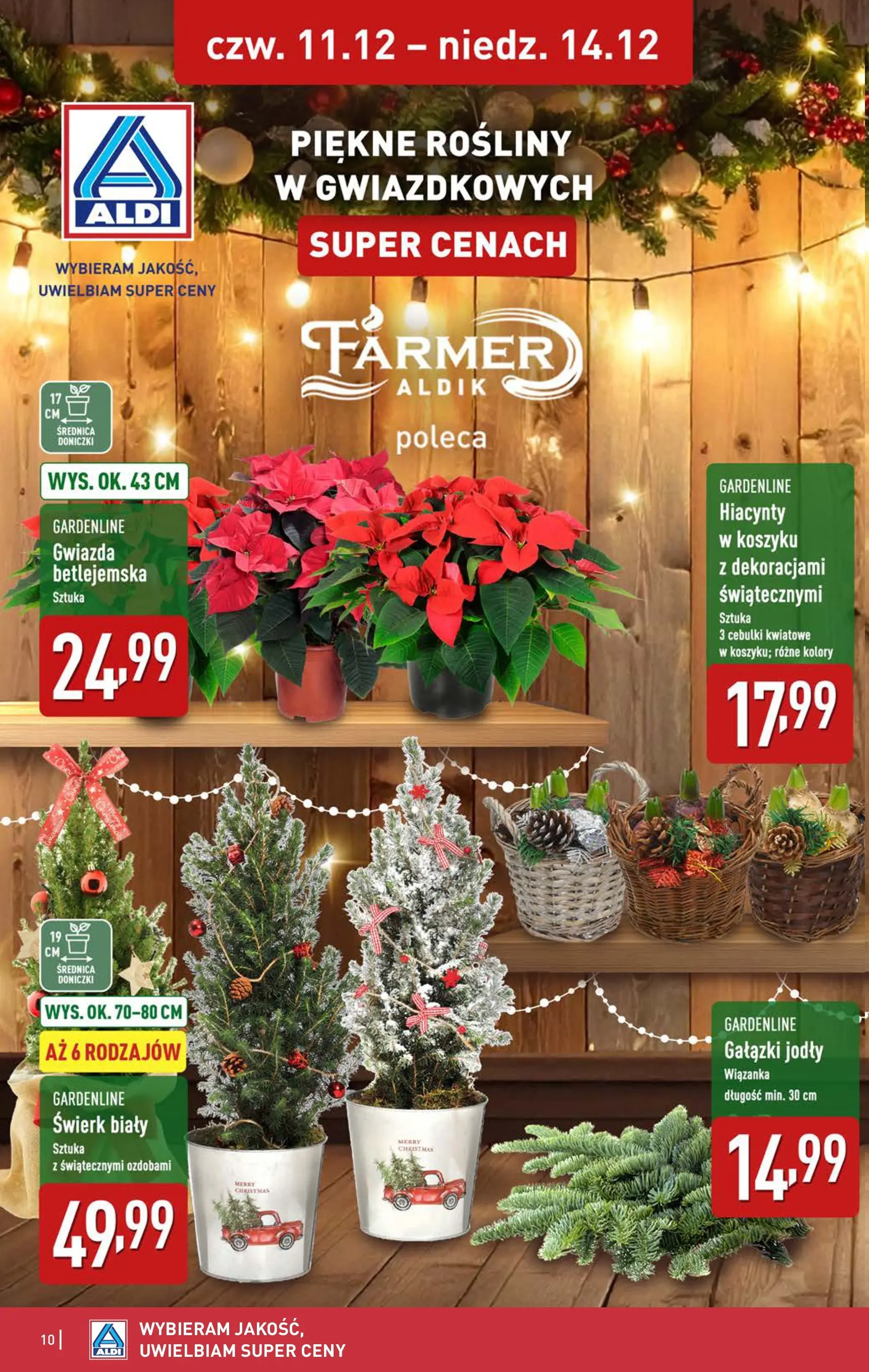 Aldi - Dodatkowe promocje na weekend w ALDI od 10.12.2025 - Ulotka PDF, promocje | Strona: 10 | Produkty: Rosliny, Doniczki