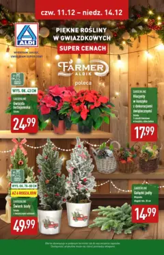 Pogląd oferty "Aldi Gazetka - Piękne rośliny na gwiazdkę" - ważna od 11.12.2025 Pogląd oferty "Aldi Gazetka - Piękne rośliny na gwiazdkę" - ważna od 11.12.2025