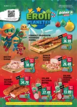 Catalog Diana până în data de 31.12.2025