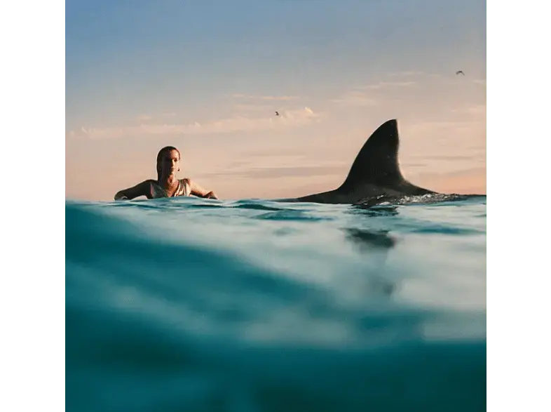 Dua Lipa - Radical Optimism (Softpack) [CD]