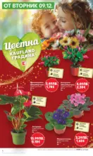 Kaufland хипермаркет Отвори вратата за пракрасна Коледа с Kaufland предложения с валидност до 14.12.2025 - от 08-12-25
