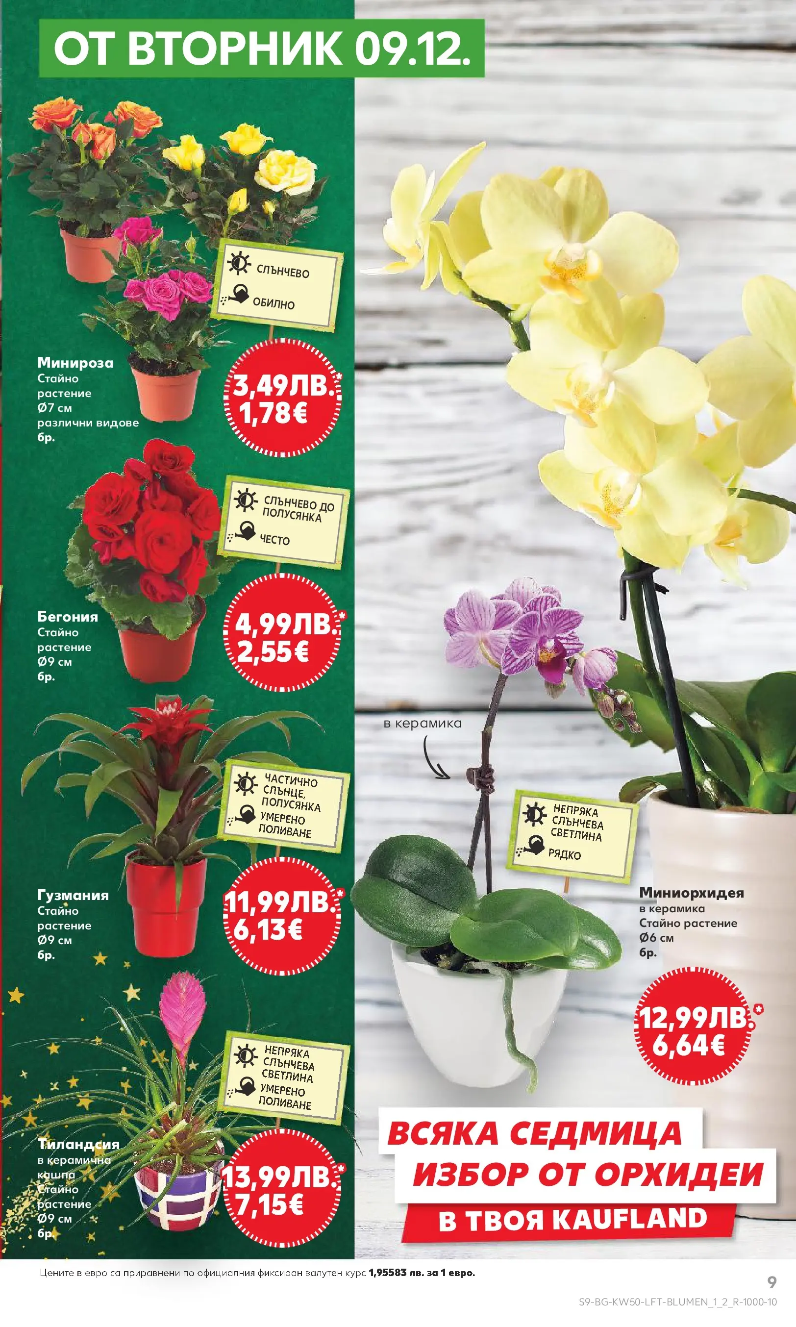 Нова Кауфланд брошура от 08.12.2025 | Страница: 9 Нова Кауфланд брошура София от 08.12.2025 | Страница: 9