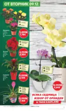 Kaufland хипермаркет Отвори вратата за пракрасна Коледа с Kaufland предложения с валидност до 14.12.2025 - от 08-12-25