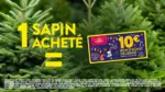 Delbard Faites entrer la magie de No&euml;l &agrave; la maison ! - au 24.12.2025