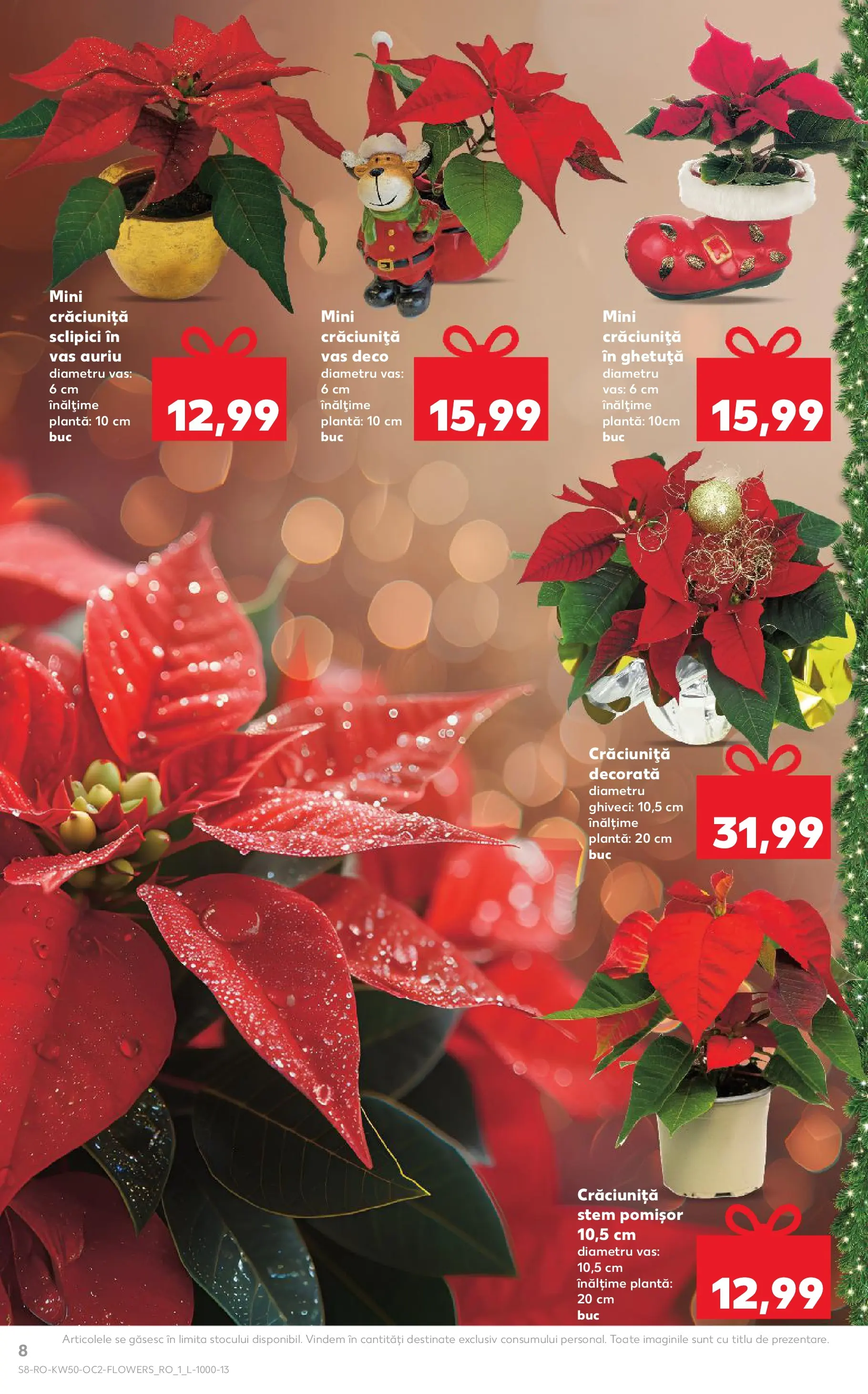 Catalog Kaufland - Arad 10.12.2025 - Revista si Oferta | Pagină: 8 | Produse: Ghiveci