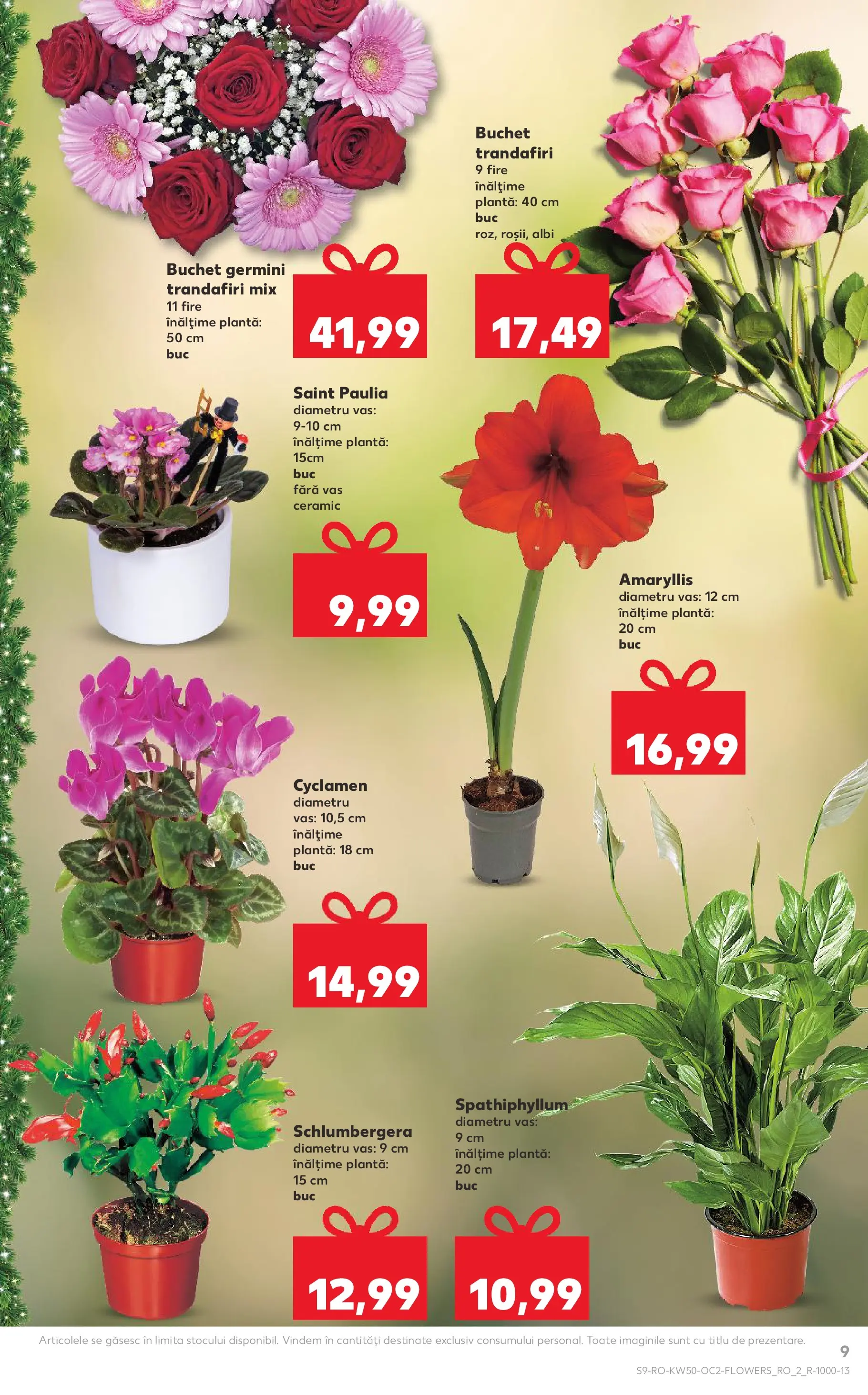 Catalog Kaufland - Arad 10.12.2025 - Revista si Oferta | Pagină: 9