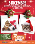 Il Gigante Apertura La Loggia - al 31.12.2025