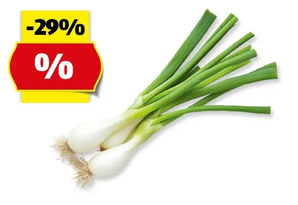 HOFER MARKTPLATZ Jungzwiebeln