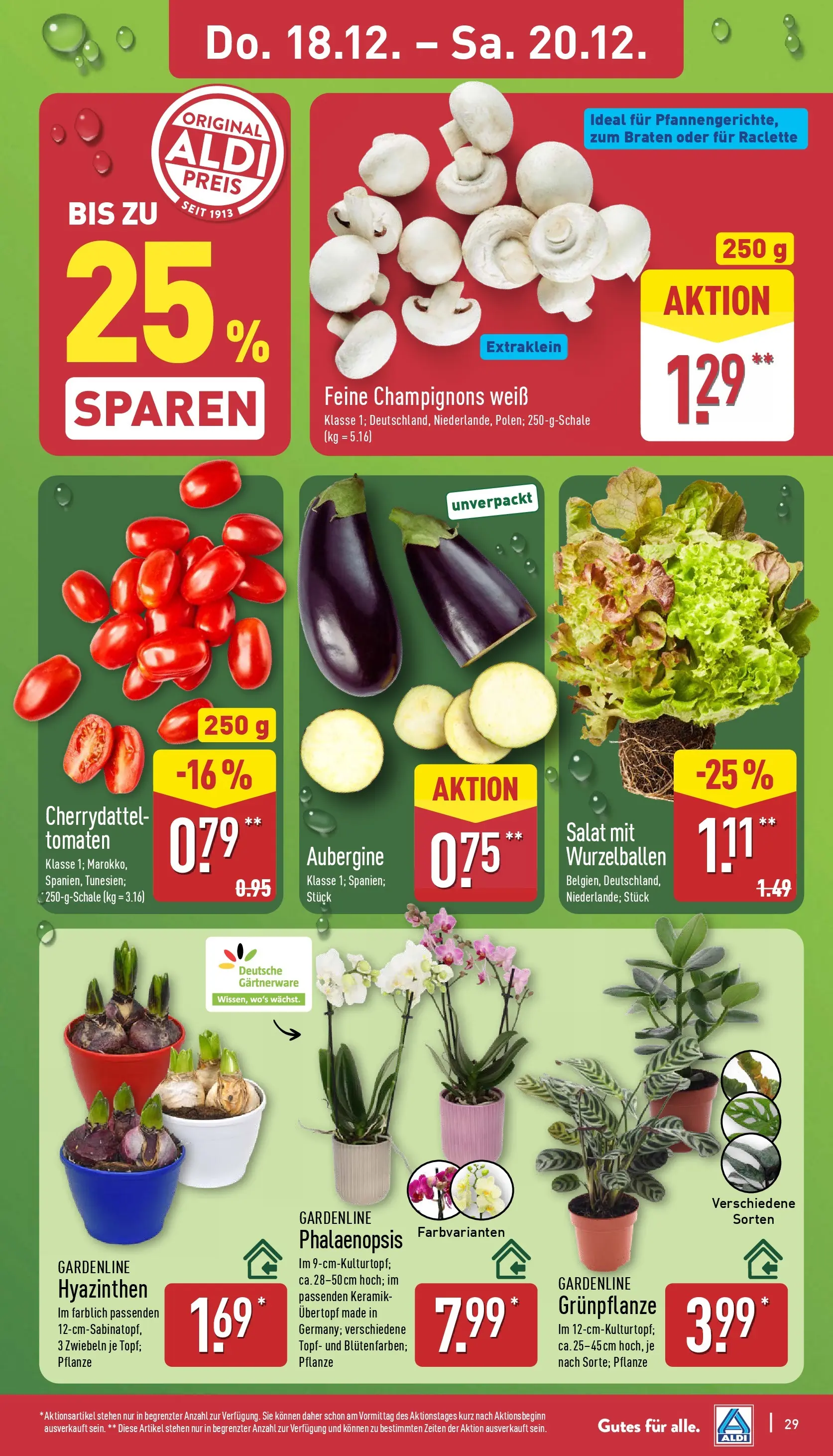 Aldi - ALDI Nord: Wochenangebote (ab 14.12.2025) » Angebote Online | Seite: 32 | Produkte: Tomaten, Champignons, Raclette, Salat