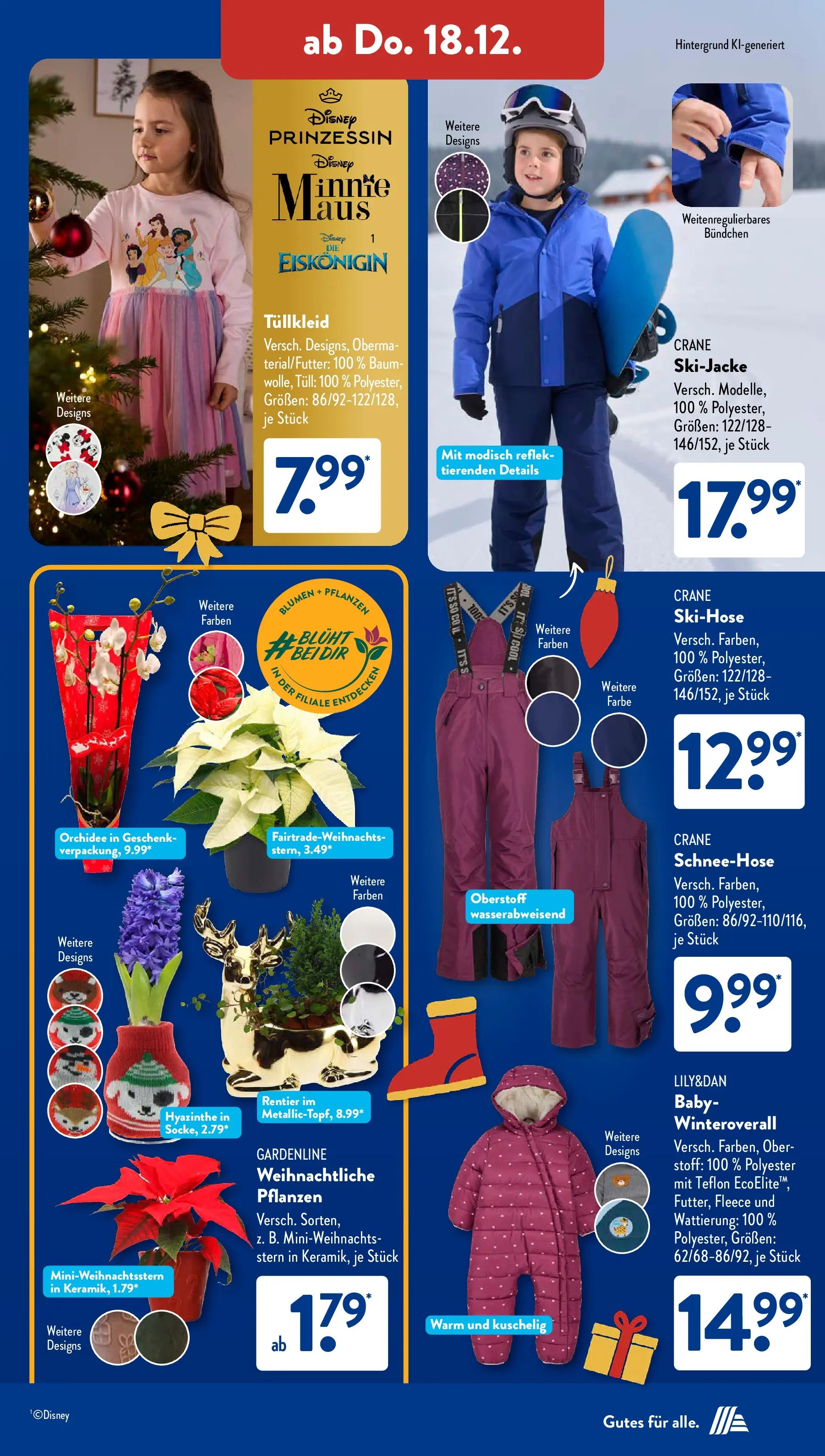 Aldi Süd - Aldi Süd: Wochenangebote (ab 14.12.2025) zum Blättern | Seite: 34 | Produkte: Orchidee, Blumen