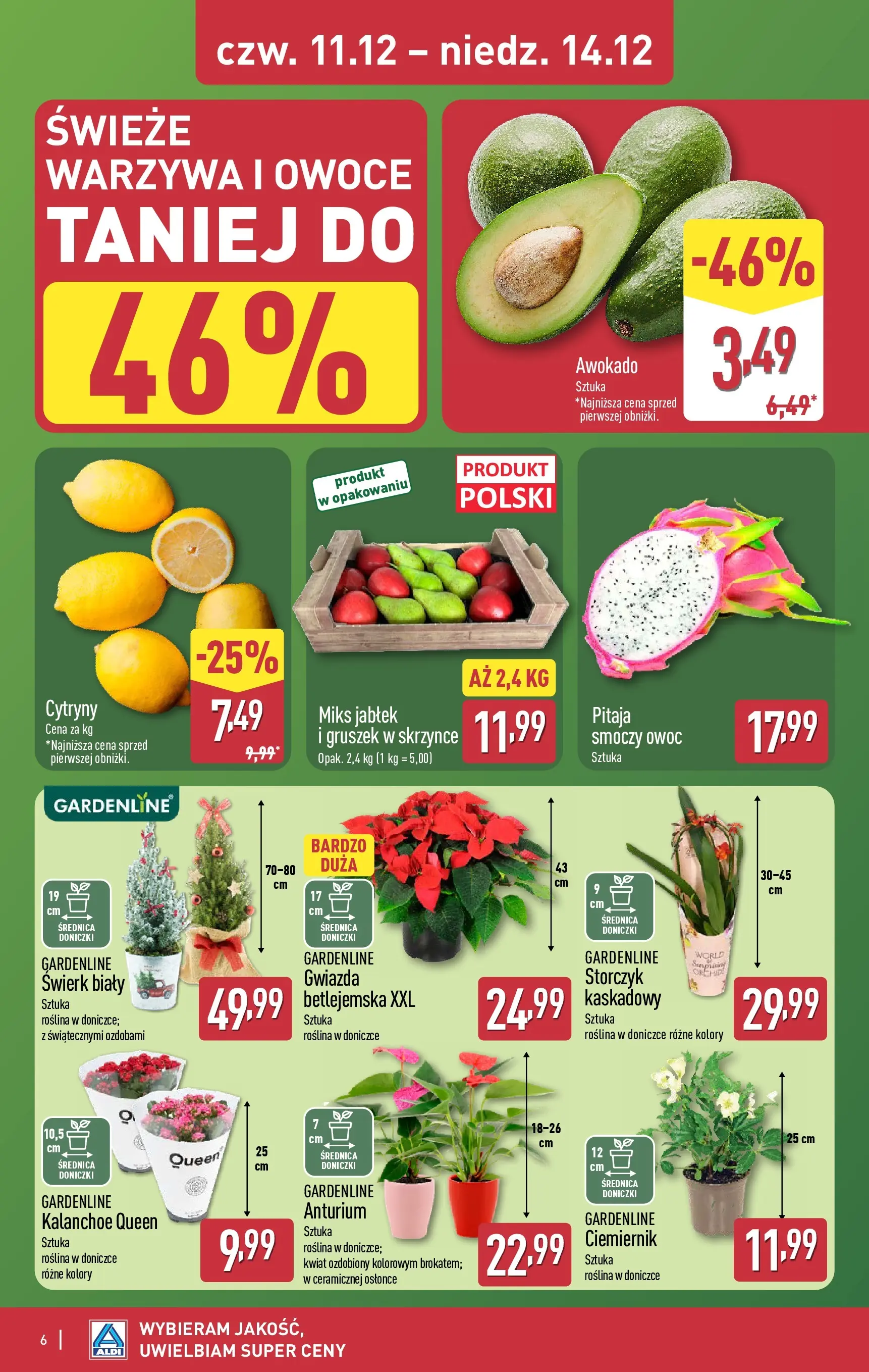 Aldi - Dodatkowe promocje na weekend w ALDI od 10.12.2025 - Ulotka PDF, promocje | Strona: 6 | Produkty: Cytryny, Doniczki, Kalanchoe, Storczyk