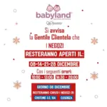 Babyland Offerte Babyland - al 28.12.2025