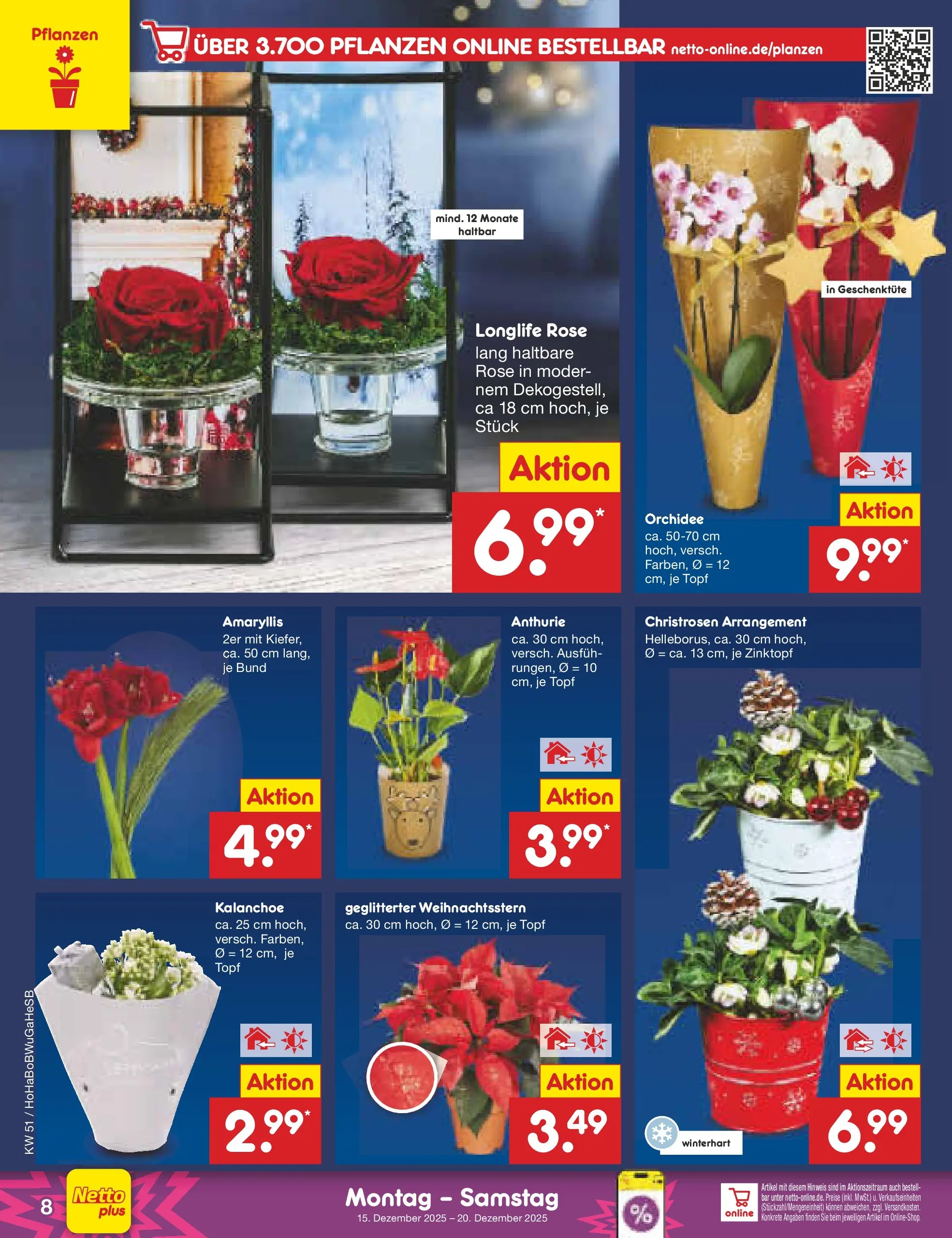 Netto Marken-Discount prospekt Stemwede-Dielingen (ab 14.12.2025) » Angebote | Seite: 8 | Produkte: Orchidee Netto Marken-Discount prospekt Stemwede-Dielingen (ab 14.12.2025) » Angebote | Seite: 8 | Produkte: Orchidee