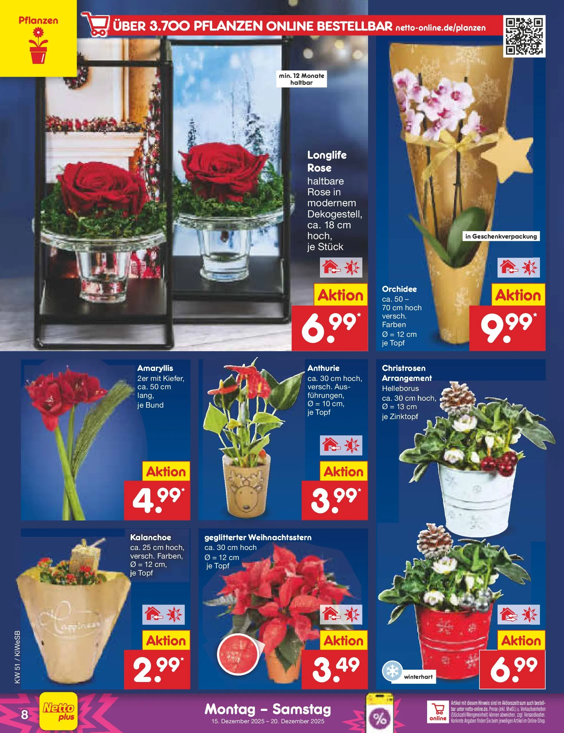 Netto Marken-Discount prospekt Bad Friedrichshall (ab 14.12.2025) » Angebote | Seite: 8 | Produkte: Orchidee Netto Marken-Discount prospekt Bad Friedrichshall (ab 14.12.2025) » Angebote | Seite: 8 | Produkte: Orchidee