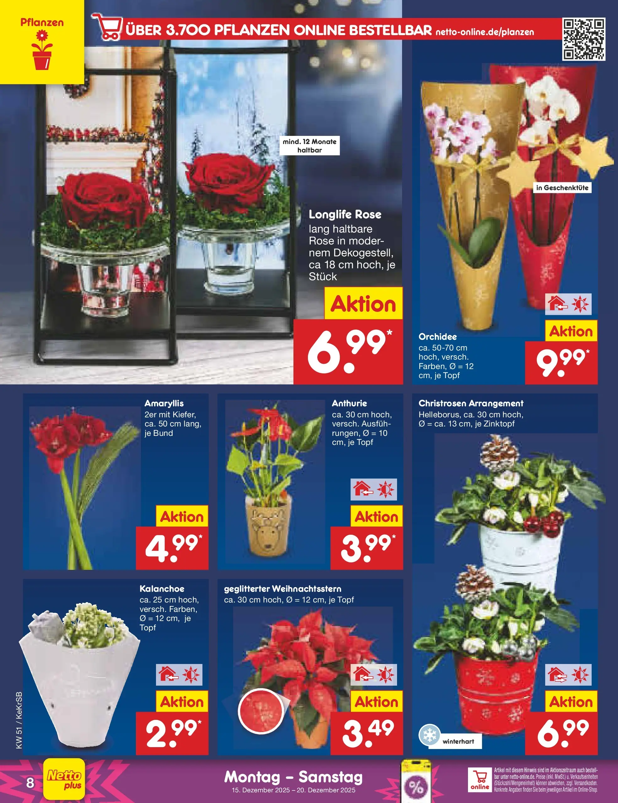 Netto Marken-Discount prospekt Kruft (ab 15.12.2025) » Angebote | Seite: 8 | Produkte: Orchidee Netto Marken-Discount prospekt Kruft (ab 15.12.2025) » Angebote | Seite: 8 | Produkte: Orchidee