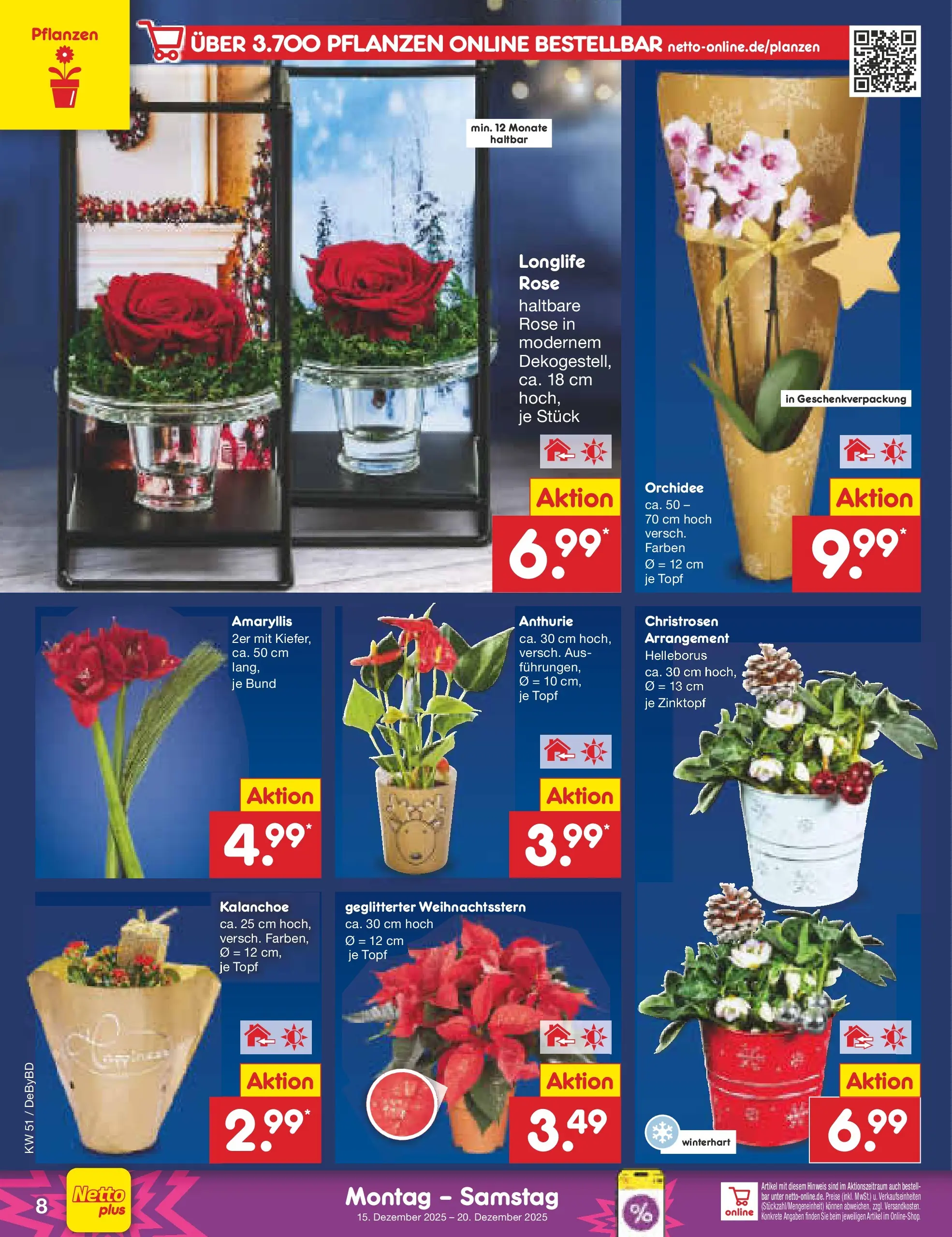 Netto Marken-Discount prospekt Buttenwiesen (ab 15.12.2025) » Angebote | Seite: 8 | Produkte: Orchidee Netto Marken-Discount prospekt Buttenwiesen (ab 15.12.2025) » Angebote | Seite: 8 | Produkte: Orchidee