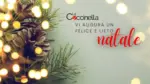 La Coccinella Offerte La Coccinella - al 23.12.2025