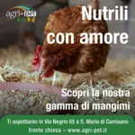 Agri Pet Offerte Agri Pet - al 23.12.2025