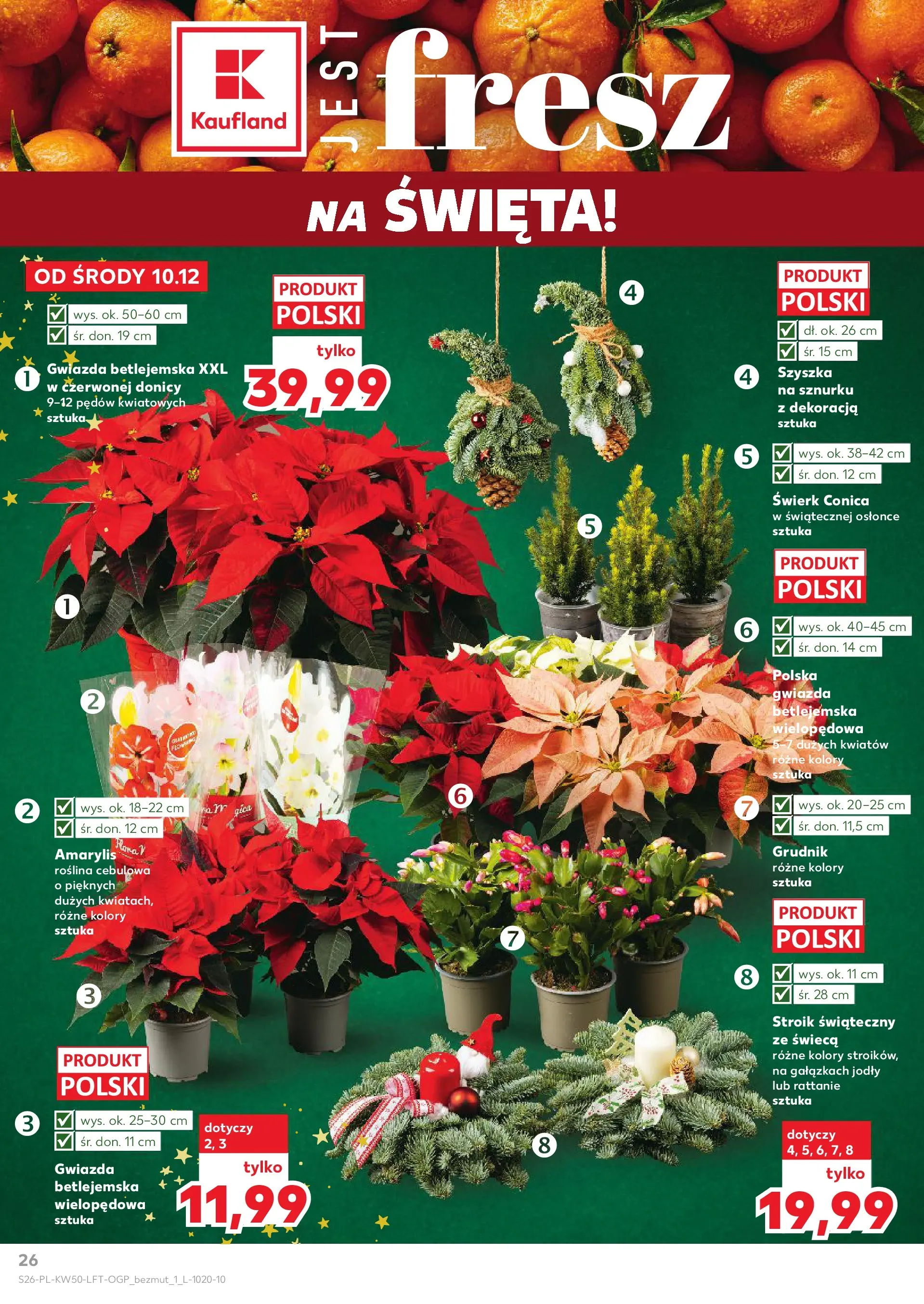 Kaufland gazetka od 10.12.2025 | Boże Narodzenie 🎄🎁 | Strona: 26 | Produkty: Amarylis