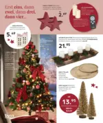 buss wohnen Möbelangebote - bis 22.12.2025