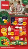 Catalog PENNY până în data de 16.12.2025